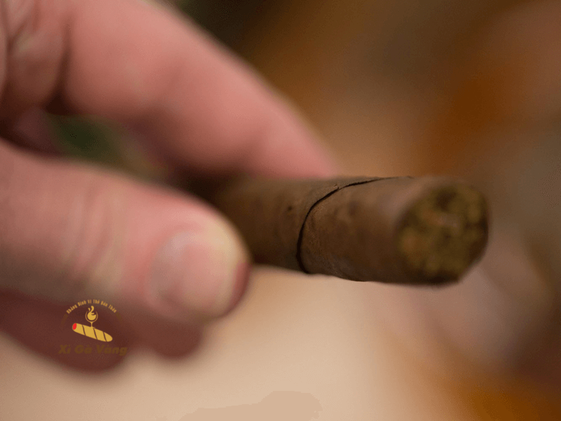 Có Nên Cắt Đôi Xì Gà Không?